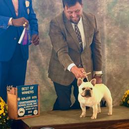 French Bulldogs from Whiskey Run French Bulldogs