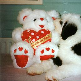 Old English Sheepdog Puppies from Bizzeeboots OES