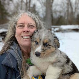 Boy 1 - Blue merle male Miniature Australian Shepherd puppy in St. Louis, Missouri from Spotted Rump Ranch