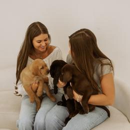 Labrador Retriever Puppies from UC Labradors LLC