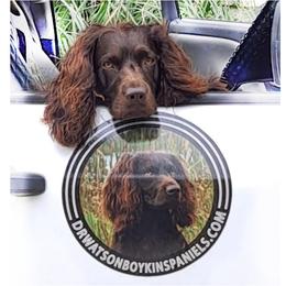 Boykin Spaniels from DrWatson Boykin Spaniels