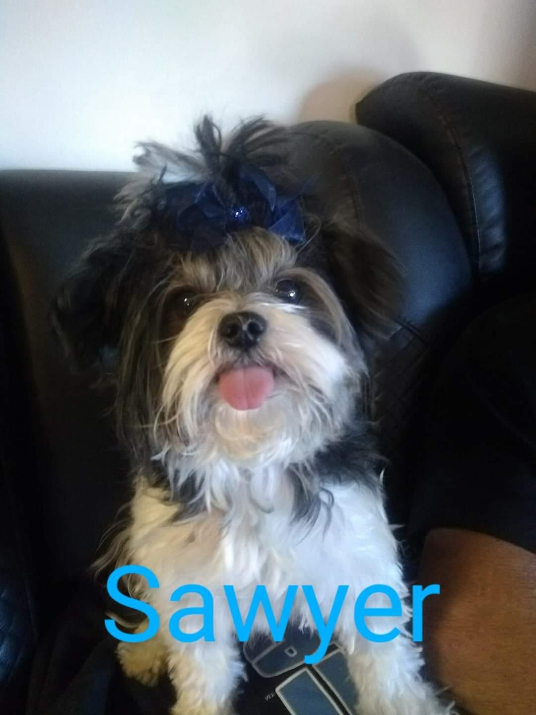 Sawyer
