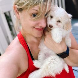 Havanese Puppies from Coco’s Puppies
