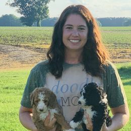 Bernedoodles and Goldendoodles from Four Kids’ Farms, LLC