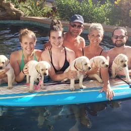 Labrador Retrievers from Sandy Paws Labradors Maui