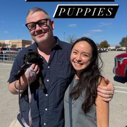 Pug Puppies from Pug Perfection Puppies