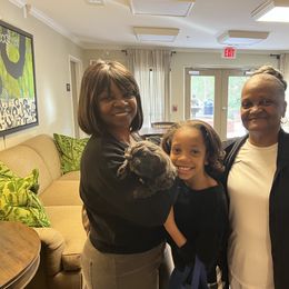 Shih Tzu Puppies from Lavender Lane Tzus