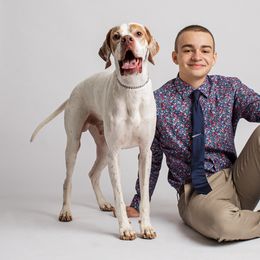 Waldo Wilberforce - Pointer