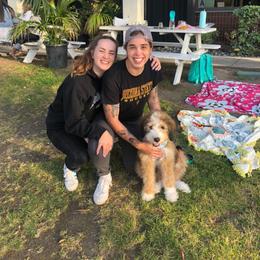 Bernedoodle, Goldendoodle, and Poodle Puppies from Teddy Doodles & Standard Poodles