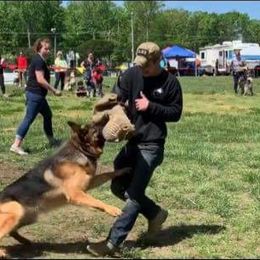 German Shepherd All Grown Up from End of the Trail Farm & Kennels