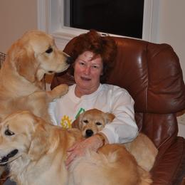 Golden Retrievers from Jacaranda Golden Retrievers