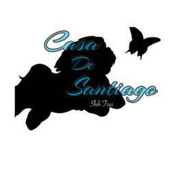 Shih Tzu puppies from Casa de Santiago