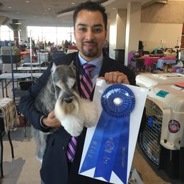 Miniature Schnauzer Puppies from Texas Schnauzers