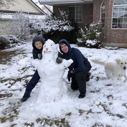 Golden Retriever Puppies from Dream Goldens