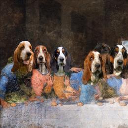 White - Lemon and white female Basset Hound puppy in Highland, Michigan from Dream Hounds of Michigan