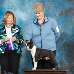 Boston Terriers from Boston Pride