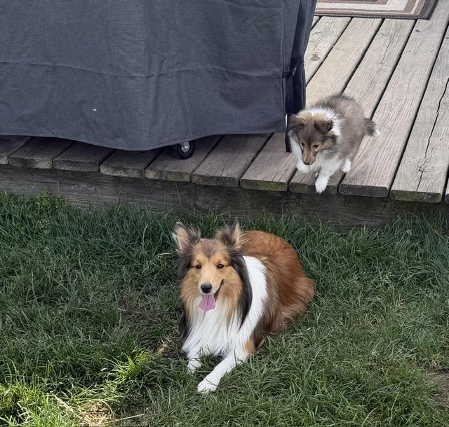 Unnamed