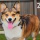 Zoe