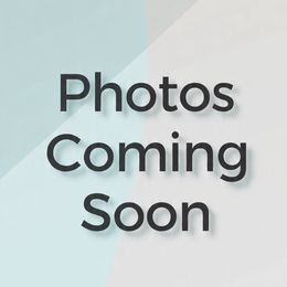 Bella - Cream female French Bulldog puppy in Plano, Illinois from Velvet Fluffy Pups