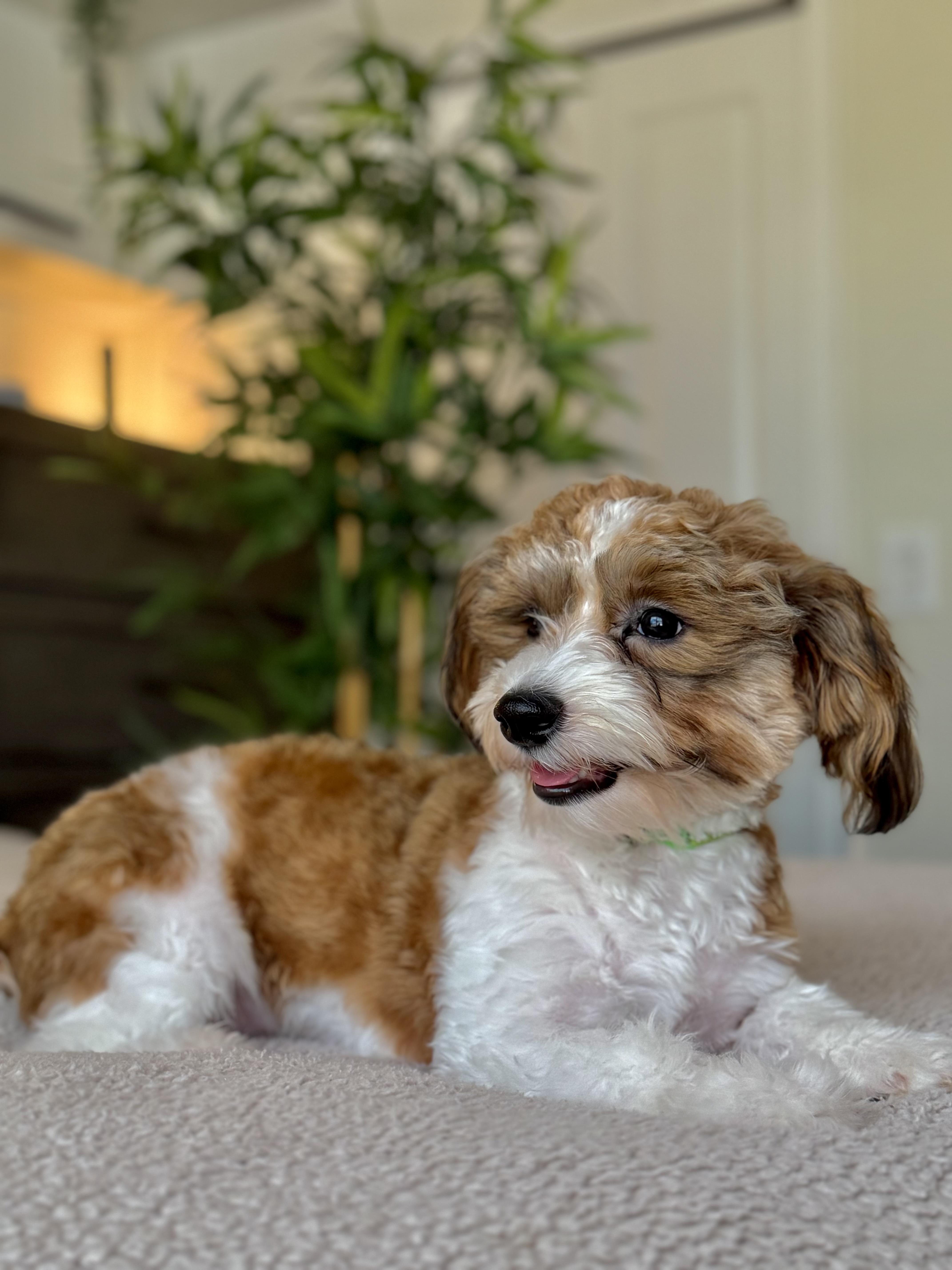 Leroy