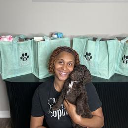 Labradoodle puppies from Four Paws Down