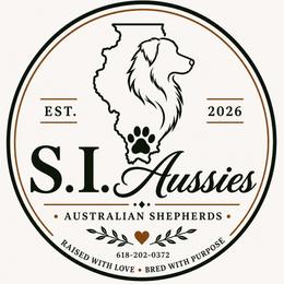 Australian Shepherds from S.I. Aussie