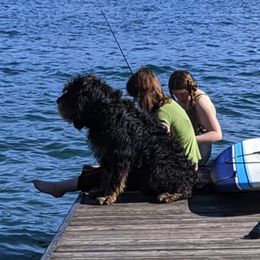 Otterhounds from Vonda Rouleau