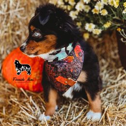Miniature Australian Shepherd and Toy Australian Shepherd Puppies from Fireside Toy & Mini Aussies