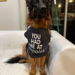 "Juliette has a "secret" !!!  Spring 2022" German Shepherd Puppies from Schonwasser Shepherds