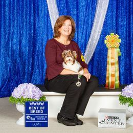 Biewer Terrier All Grown Up from Rebecca Eyke