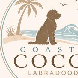Labradoodles from Coastal Cocoa Labradoodle