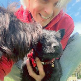 Clyde - Black male Scottish Terrier puppy in Mancelona, Michigan from Stefany Farm of Happiness