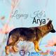 Arya
