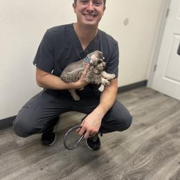 Miniature Schnauzer Puppies from Feshia Mosley