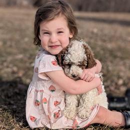 Belle - Blenheim female Cavapoo puppy in Amboy, Indiana from Wag'in Tails