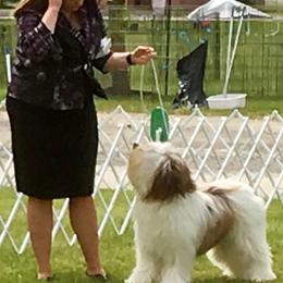 Polish Lowland Sheepdog All Grown Up from EnchantingPON