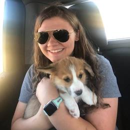 Pembroke Welsh Corgi Puppies from Desert Sage Corgis