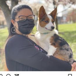 American Corgi, Companion Cross, Miniature Australian Shepherd, and Pembroke Welsh Corgi All Grown Up from FreckledCowgirlCorgis