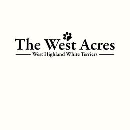 Claimed - White female West Highland White Terrier puppy in Maryville, Missouri from The West Acres