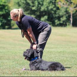 Ryelee - Giant Schnauzer