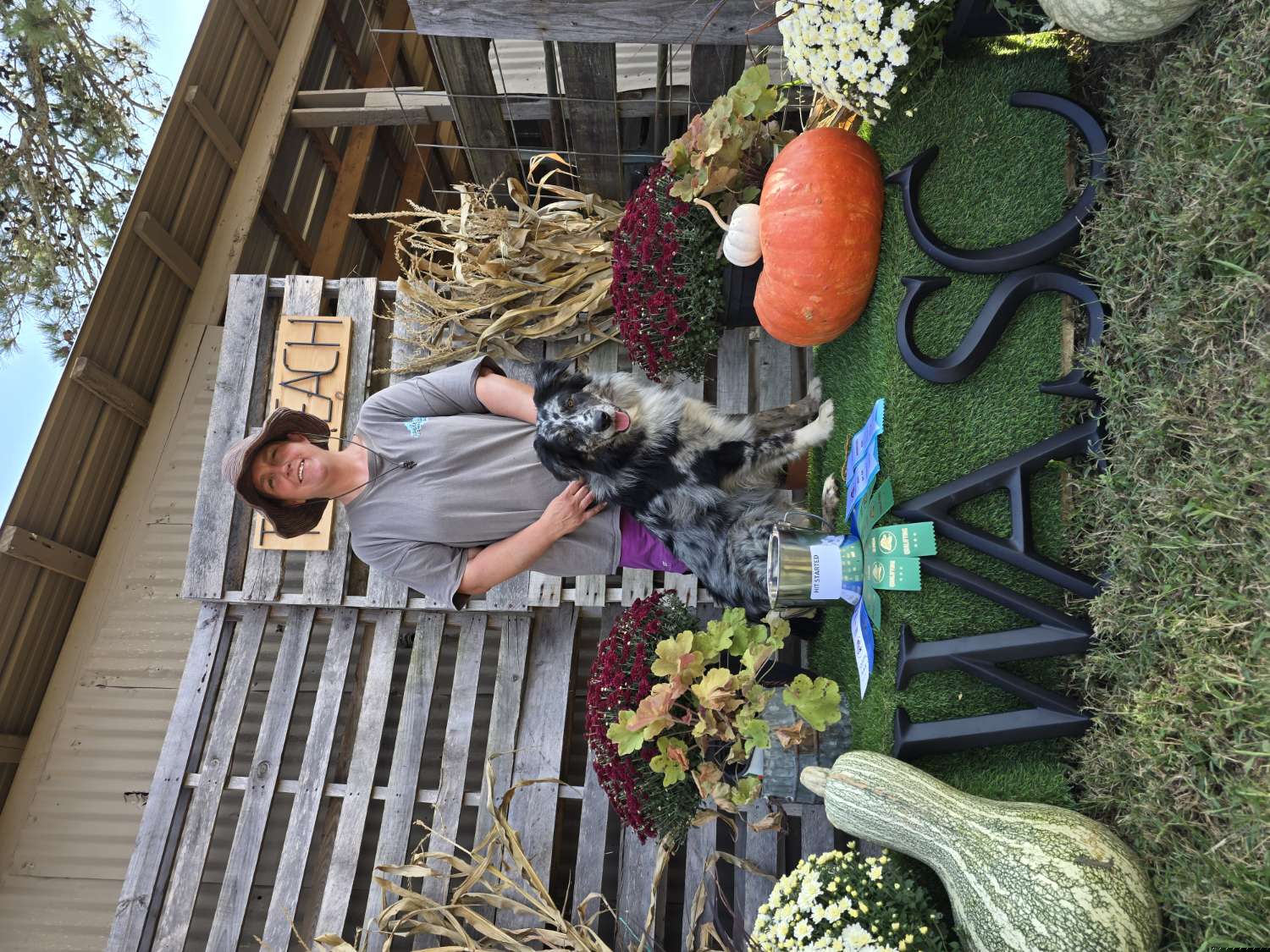 Kayce - Australian Shepherd