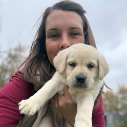 Goldie- second pick female- pink collar - Yellow female Labrador Retriever puppy in Isanti, Minnesota from Four Corners Family Labs