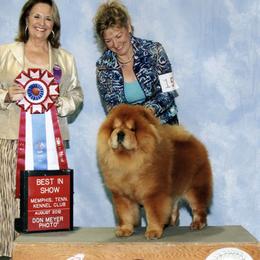 CHANCE - Chow Chow