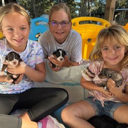 Maya - Black tri-color female Aussiedoodle puppy in Hempstead, Texas from Young Gun Aussies