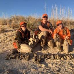 Working or hunting home only - Liver and white female English Cocker Spaniel puppy in Phillips, Nebraska from Fenloch Gundogs