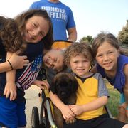 Leonberger Puppies from Lionsview Chalet