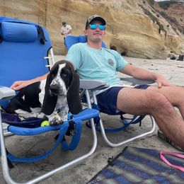 Basset Hound Puppies from Howlin Hounds