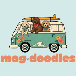 Goldendoodle puppies from Magdoodles