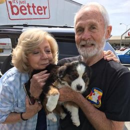 Australian Shepherd Puppies from Toni Thompson's Australian Shepherds