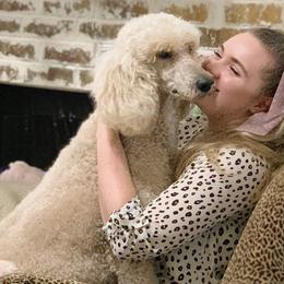 Cavapoos and Poodles from Van Haselen Poodles and Doodles